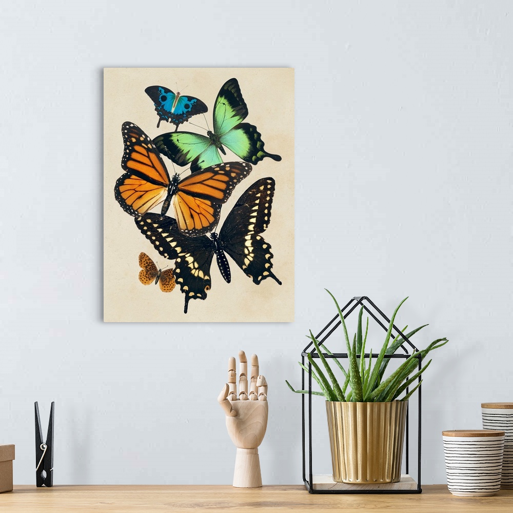 A bohemian room featuring Collaged Butterflies I