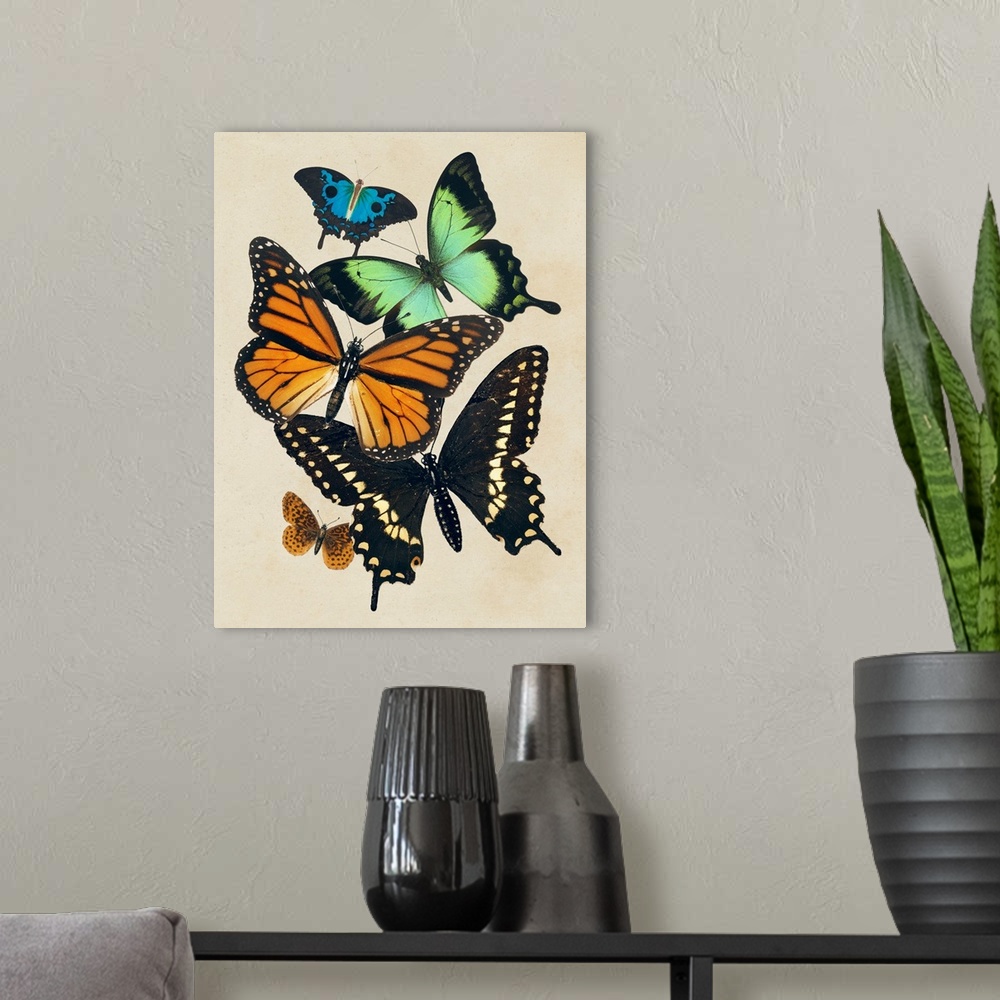 A modern room featuring Collaged Butterflies I