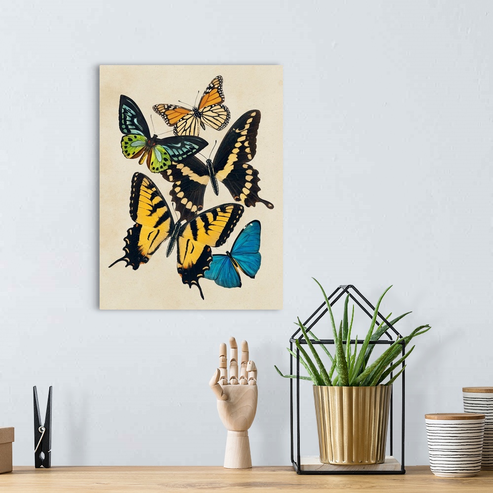 A bohemian room featuring Collaged Butterflies II
