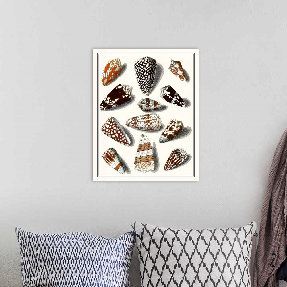 A bohemian room featuring Vintage seashell illustrations in warm earth tones on a beige background.
