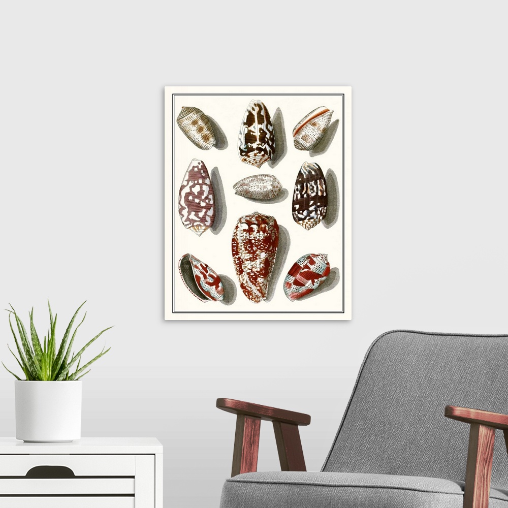 A modern room featuring Vintage seashell illustrations in warm earth tones on a beige background.