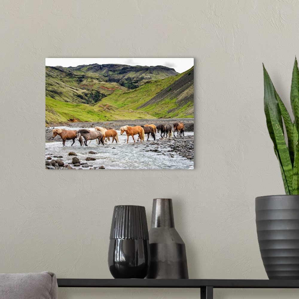 A modern room featuring Collection Of Horses II