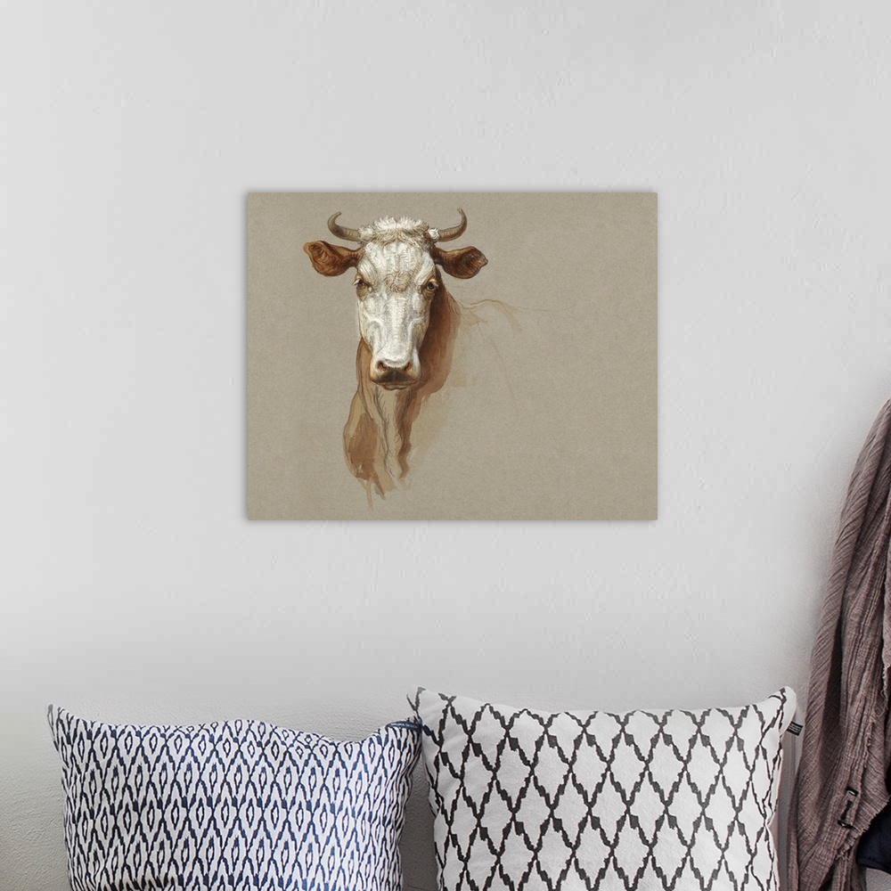A bohemian room featuring Colman Cow Portrait Study I