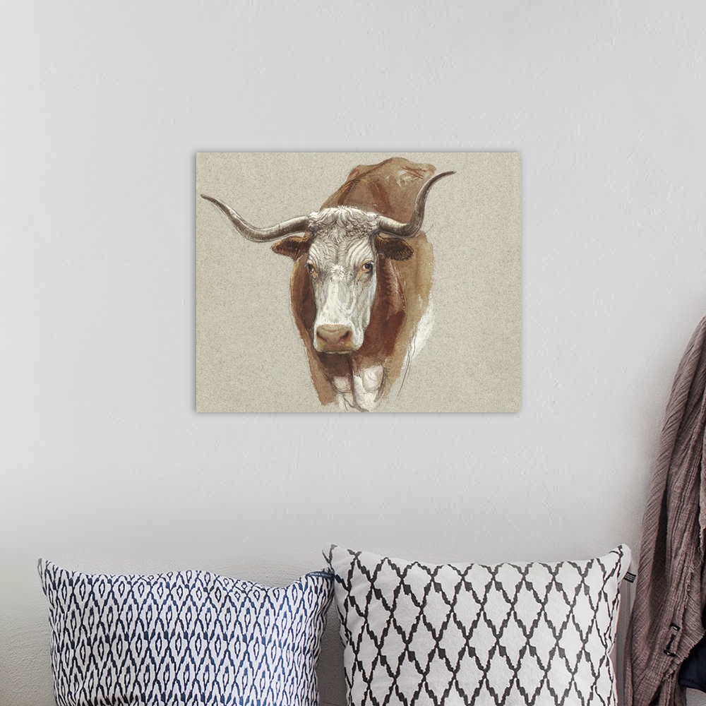 A bohemian room featuring Colman Cow Portrait Study II