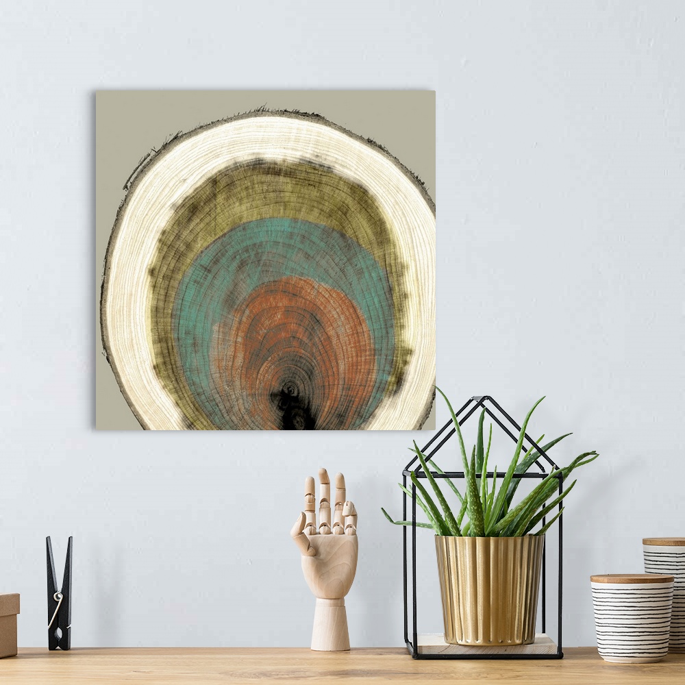 A bohemian room featuring Abstract artwork of a multi-colored cross-section of a tree trunk.