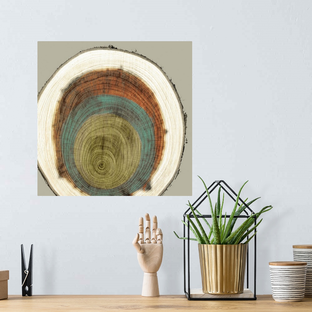A bohemian room featuring Abstract artwork of a multi-colored cross-section of a tree trunk.