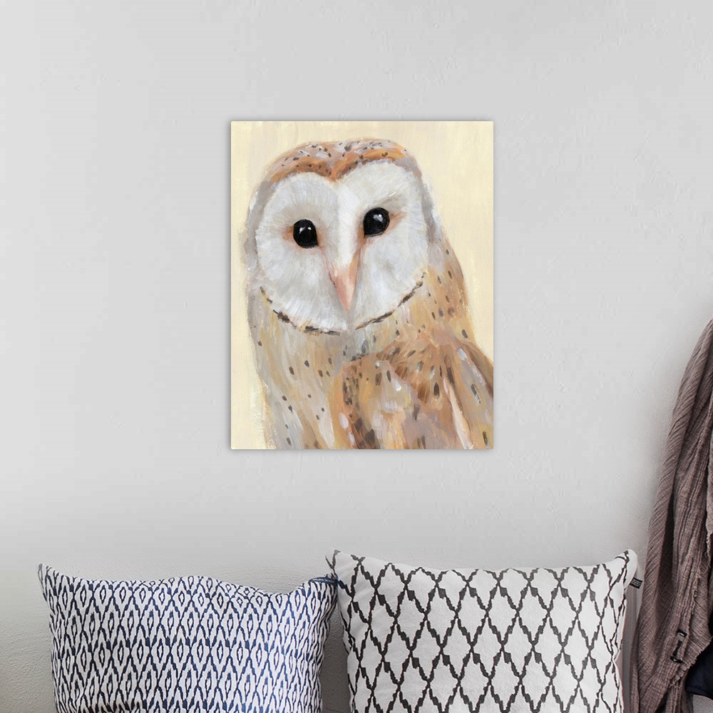 A bohemian room featuring Common Barn Owl I