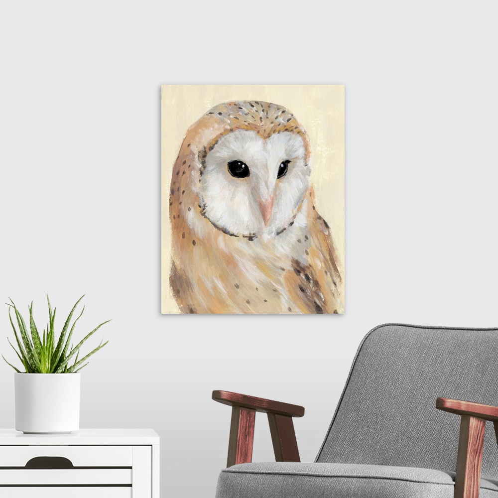 A modern room featuring Common Barn Owl II