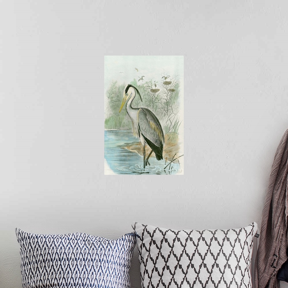 A bohemian room featuring Common Heron