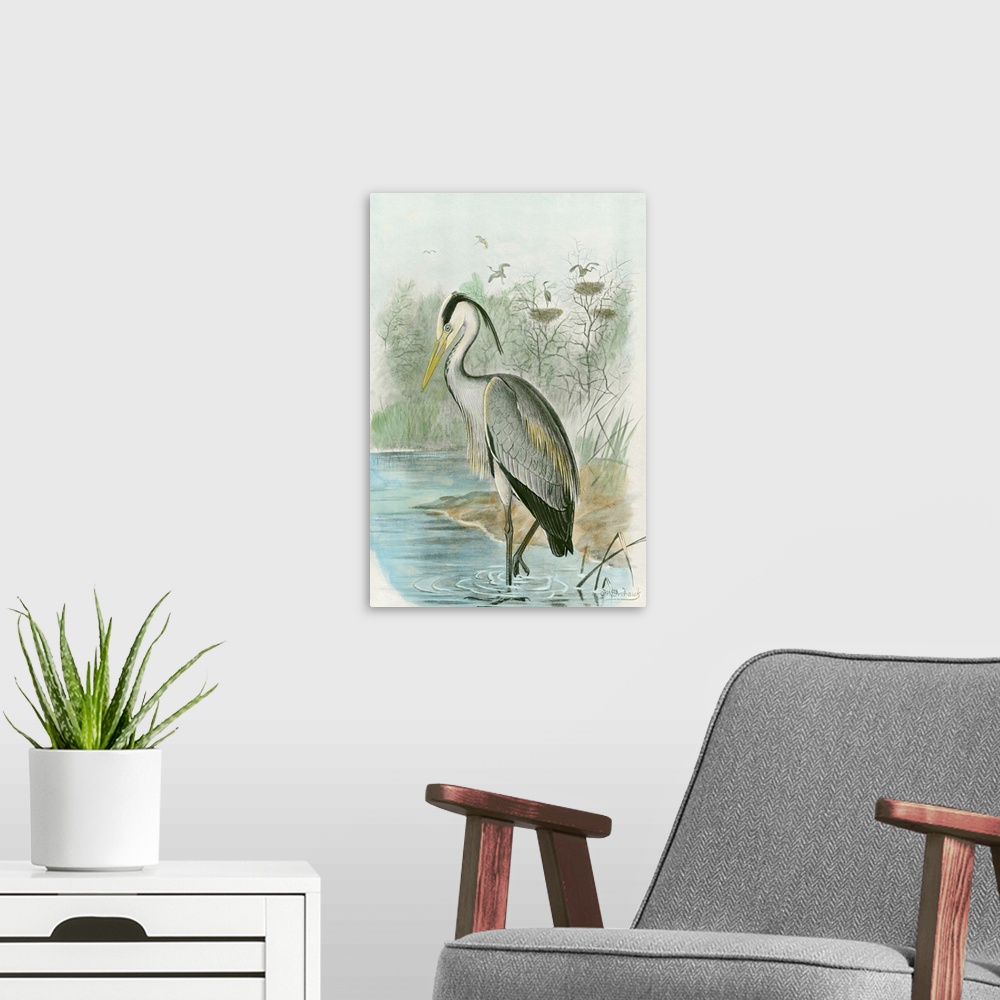 A modern room featuring Common Heron