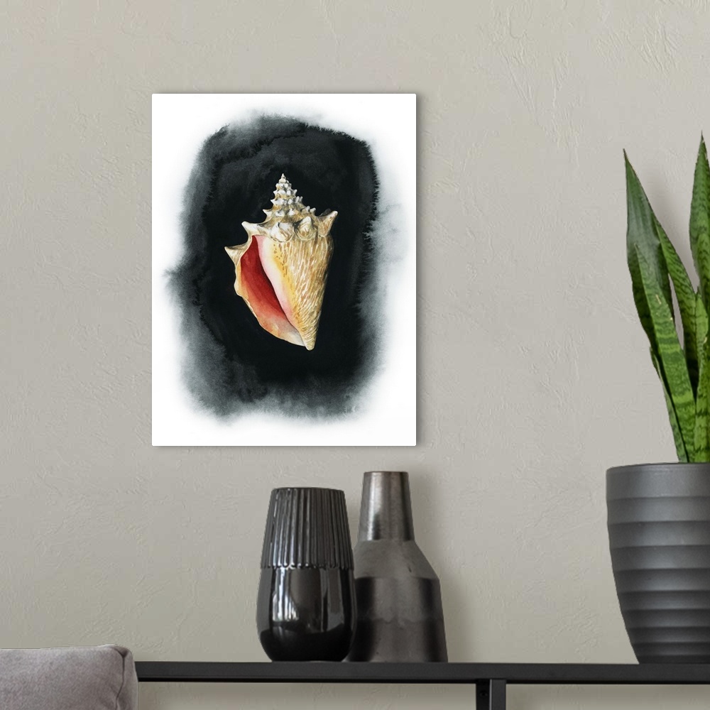 A modern room featuring Conch On Black I