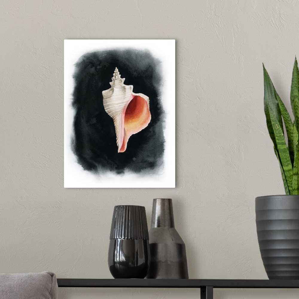 A modern room featuring Conch On Black II