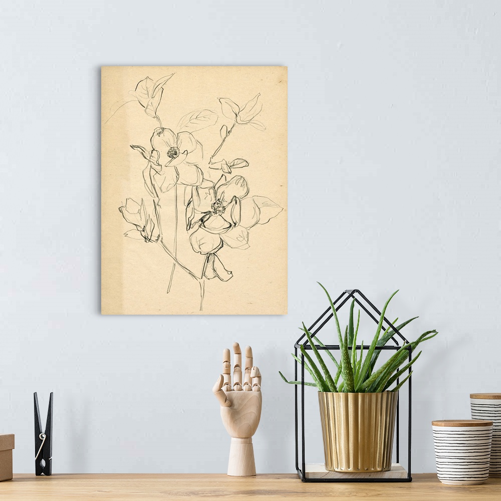 A bohemian room featuring Contour Flower Sketch II