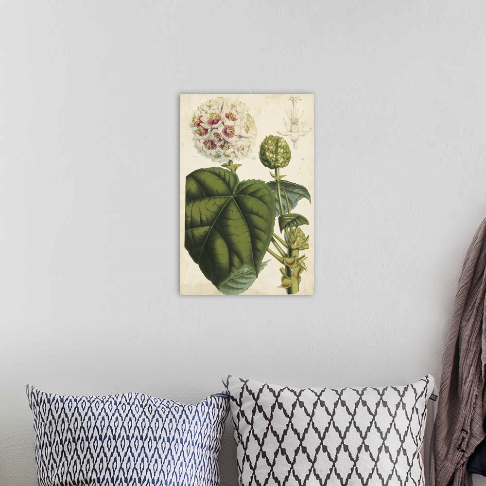 A bohemian room featuring Contemporary artwork of a floral illustration in a vintage style.