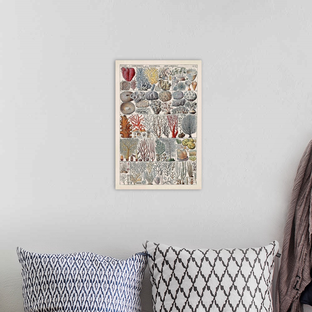 A bohemian room featuring Coral Chart