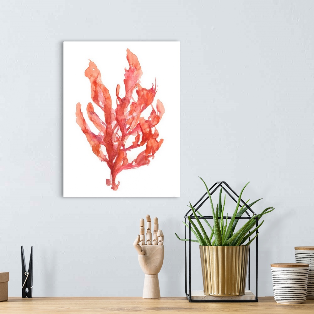 A bohemian room featuring Coral Kelp I