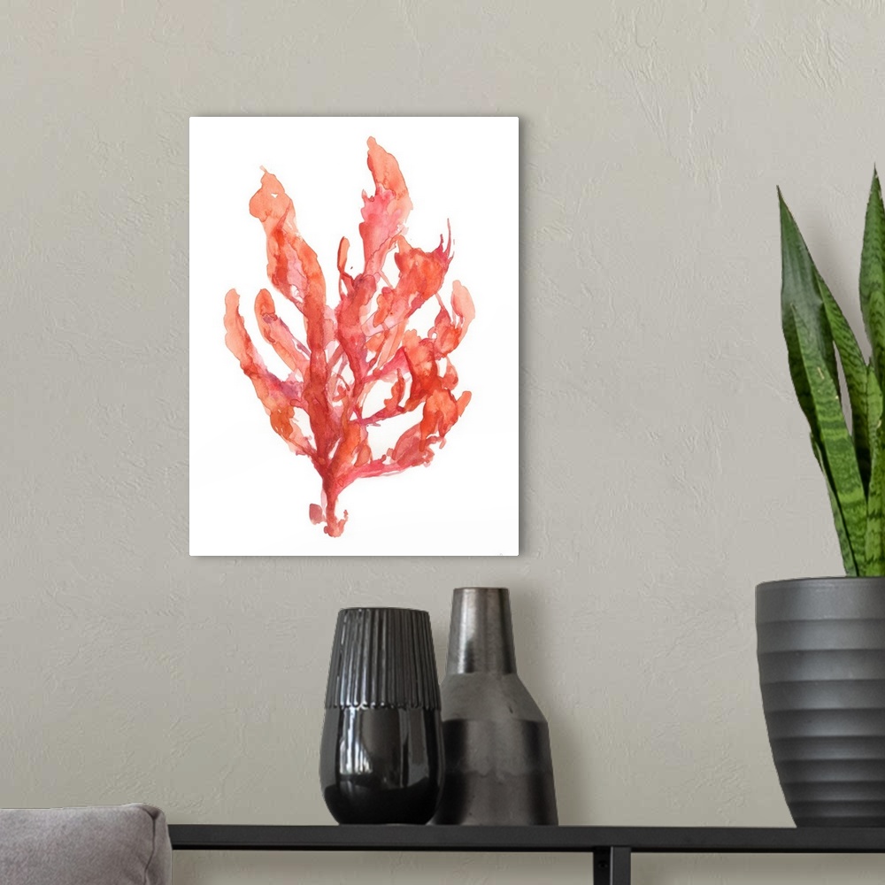 A modern room featuring Coral Kelp I