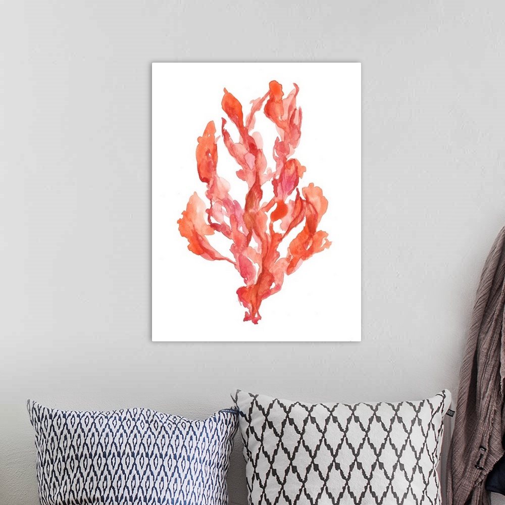 A bohemian room featuring Coral Kelp II