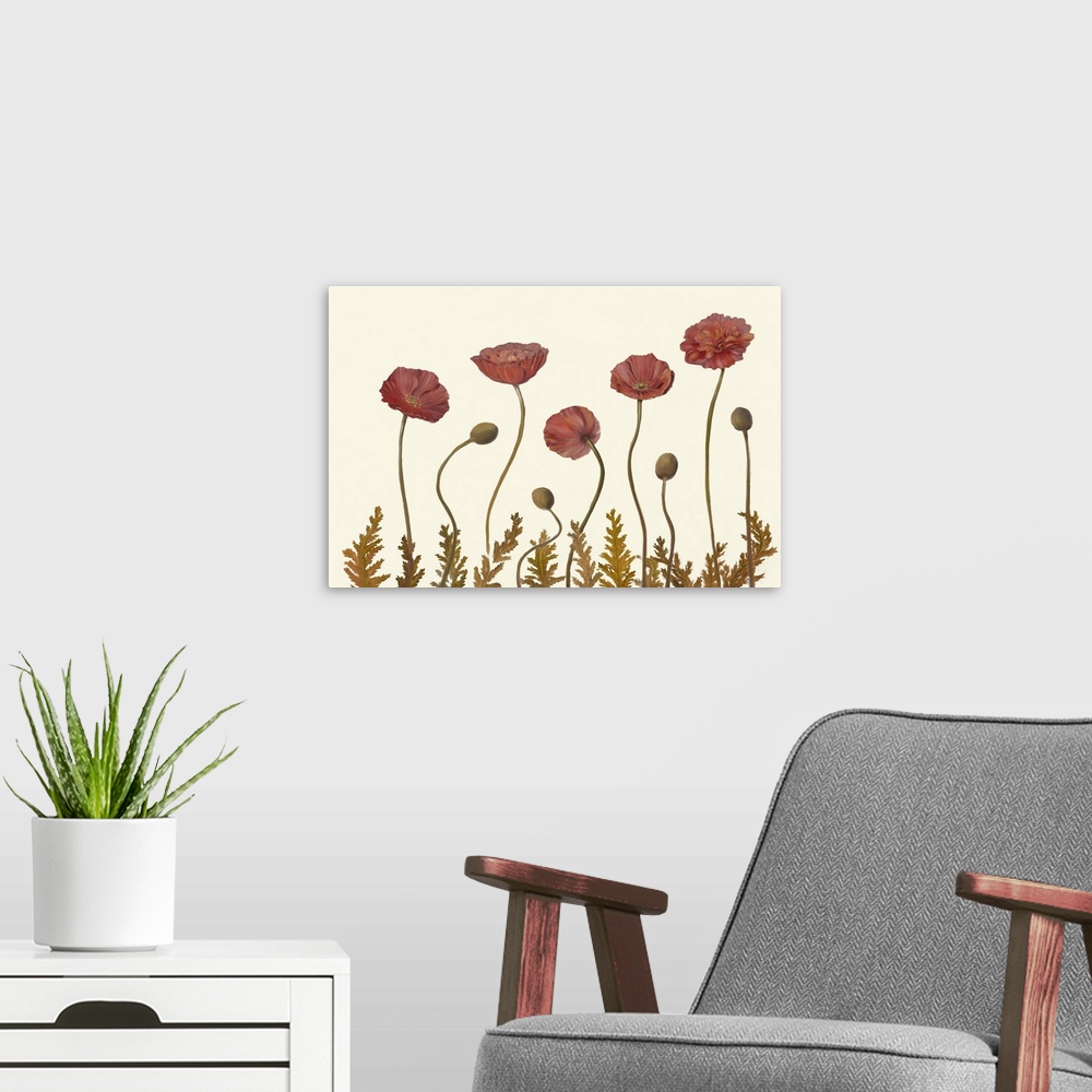A modern room featuring Coral Poppy Display II