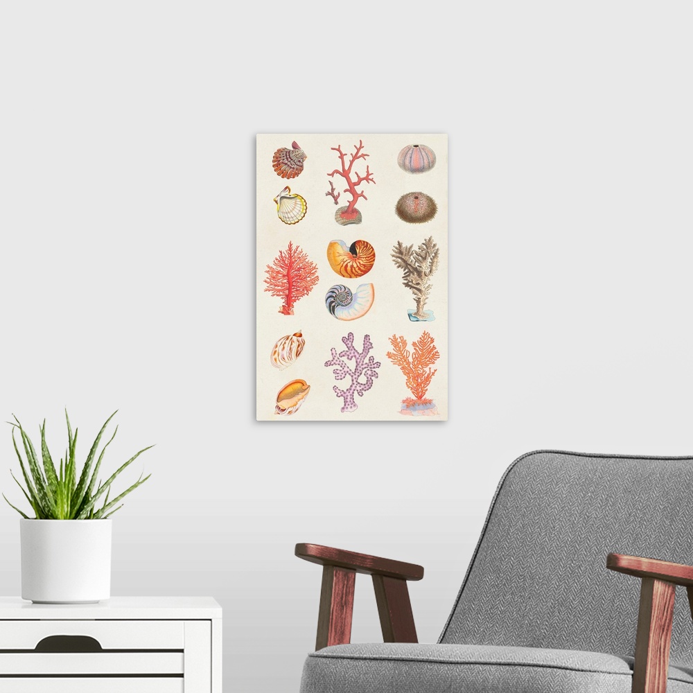 A modern room featuring Coral & Shell Collage I