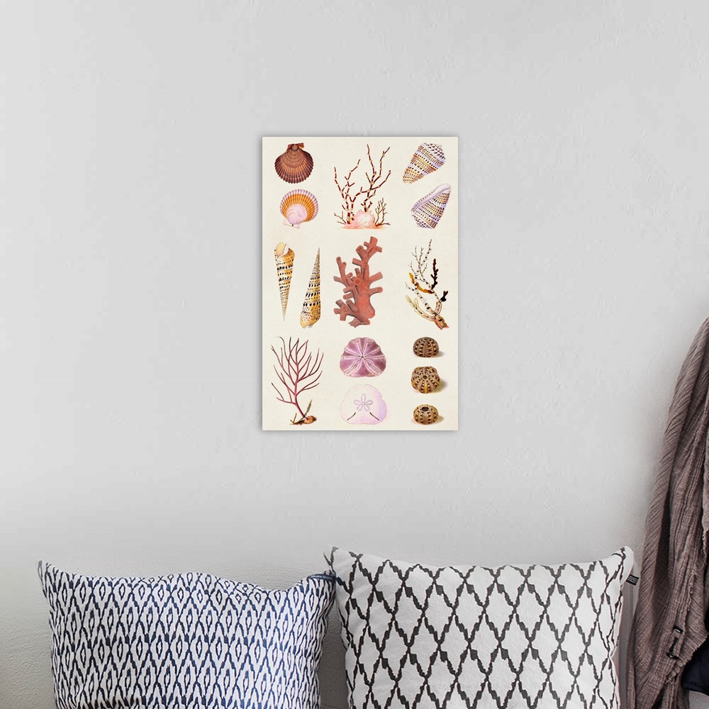 A bohemian room featuring Coral & Shell Collage II