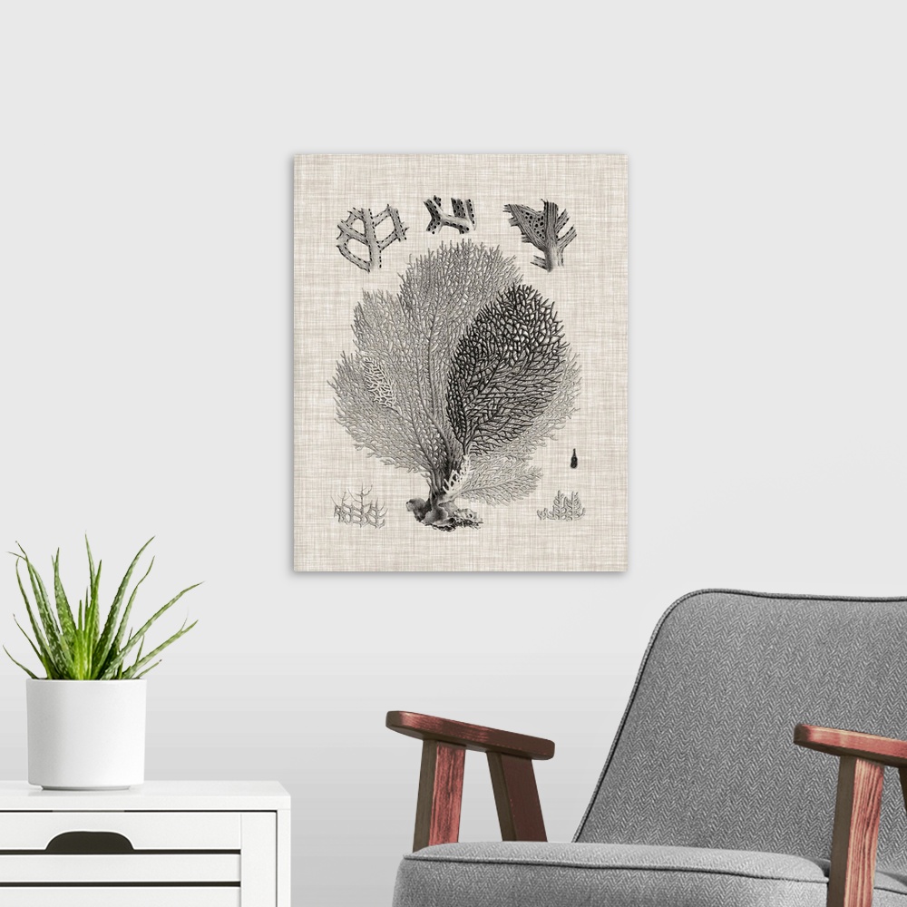 A modern room featuring A decorative vintage illustration of group of coral on a linen backdrop.