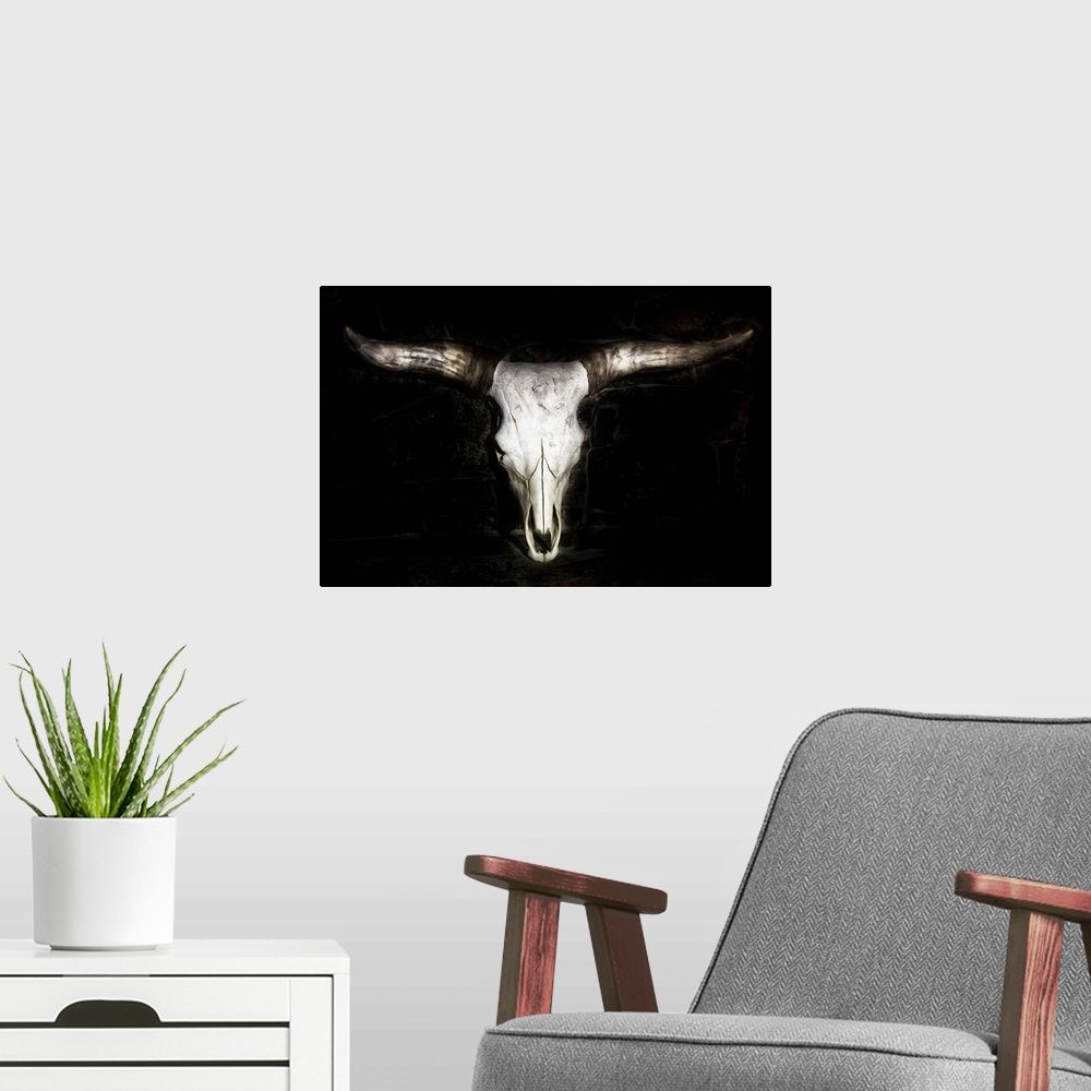 A modern room featuring Cow Skull