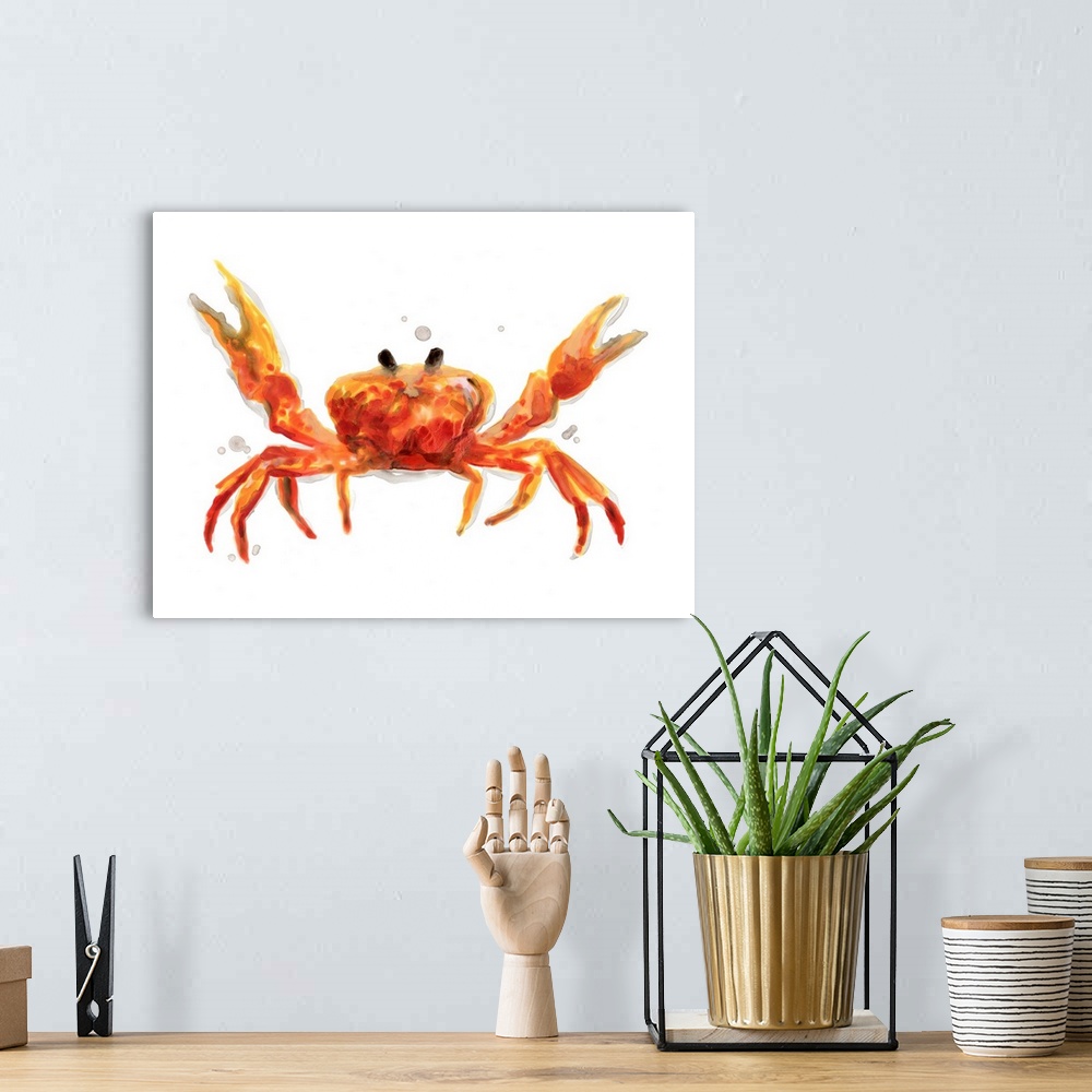 A bohemian room featuring Crab Cameo II