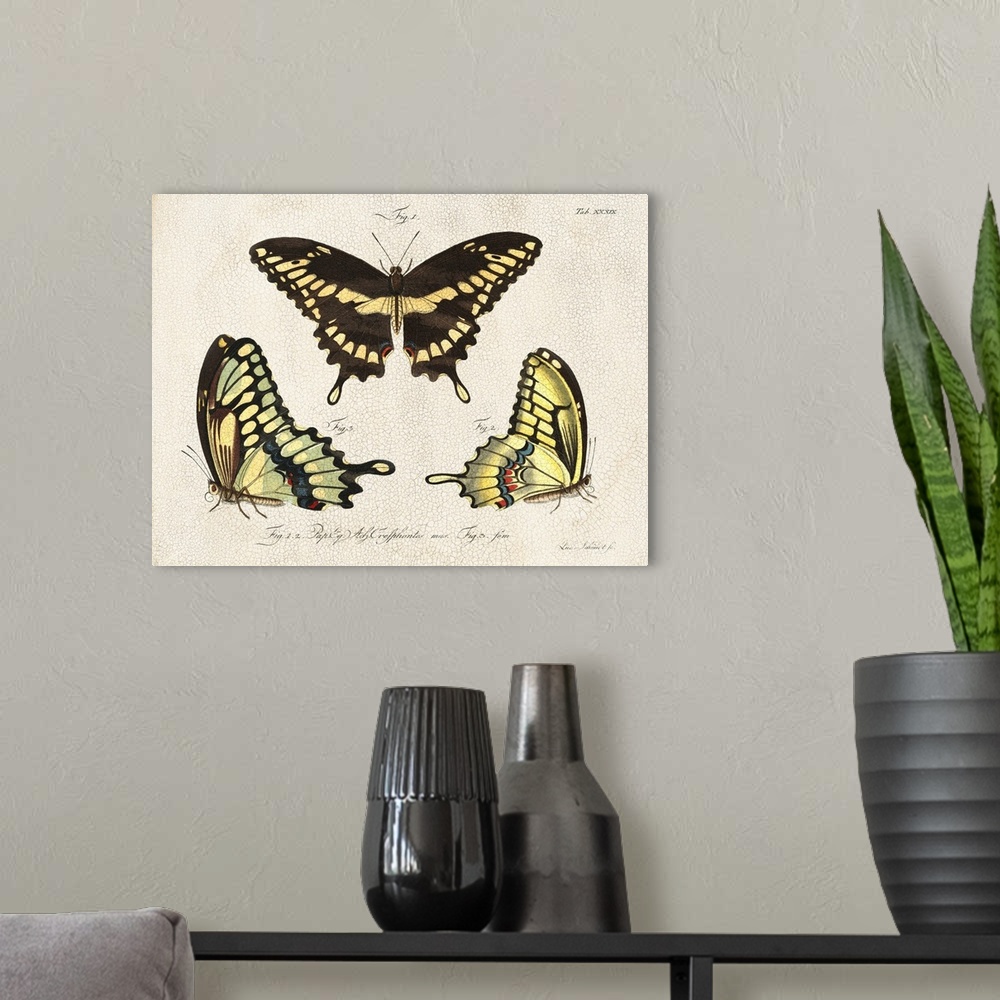 A modern room featuring Crackled Butterflies I