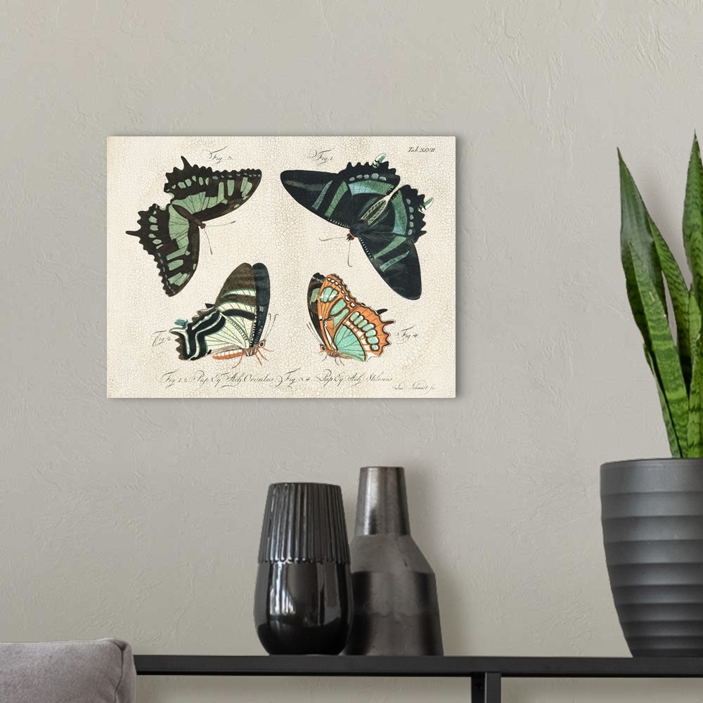 A modern room featuring Crackled Butterflies III