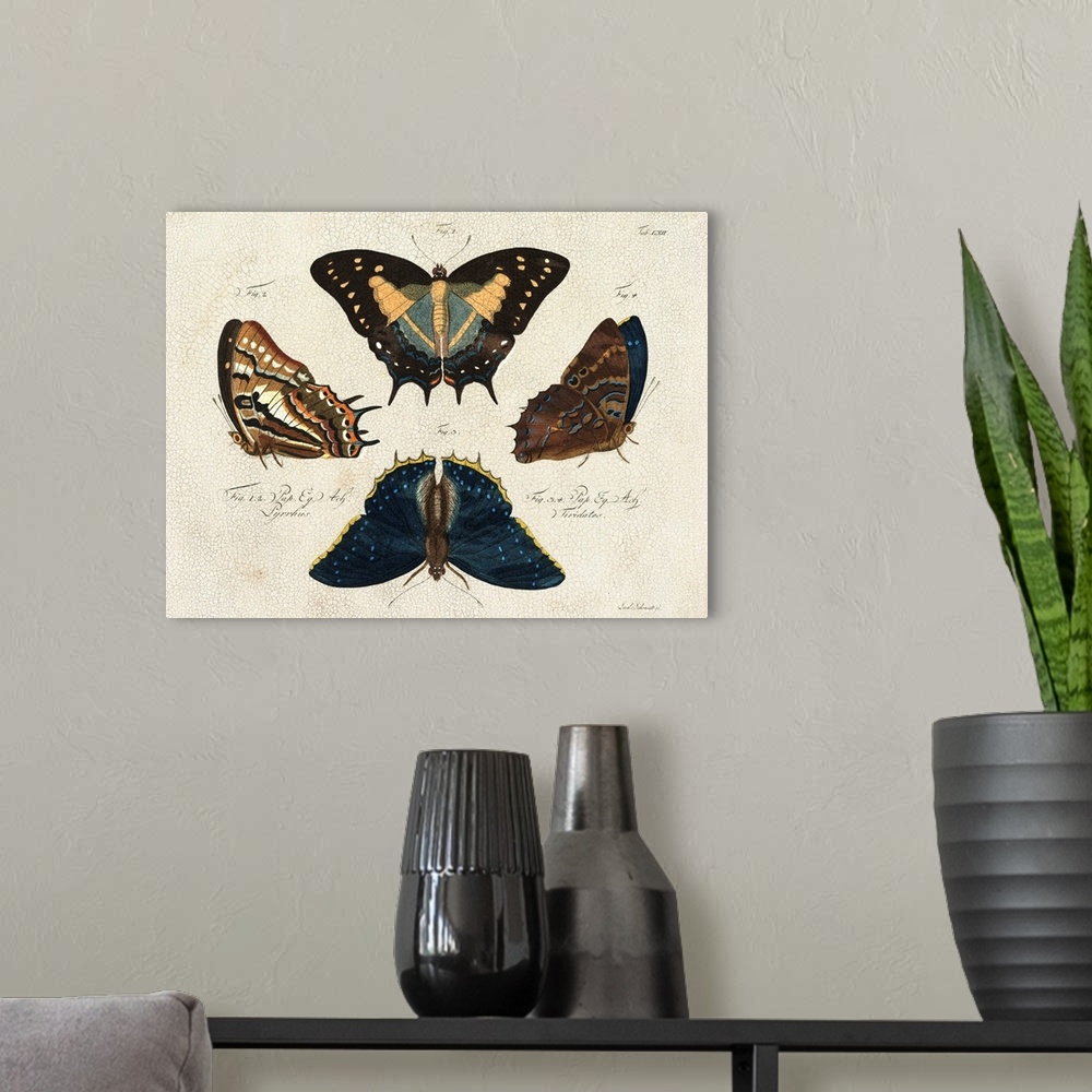 A modern room featuring Crackled Butterflies IV