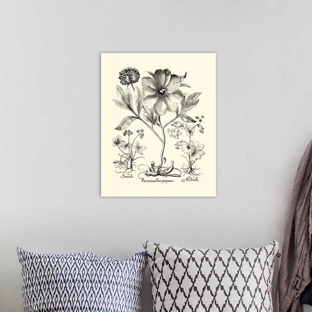A bohemian room featuring Crackled B&W Besler Peony II