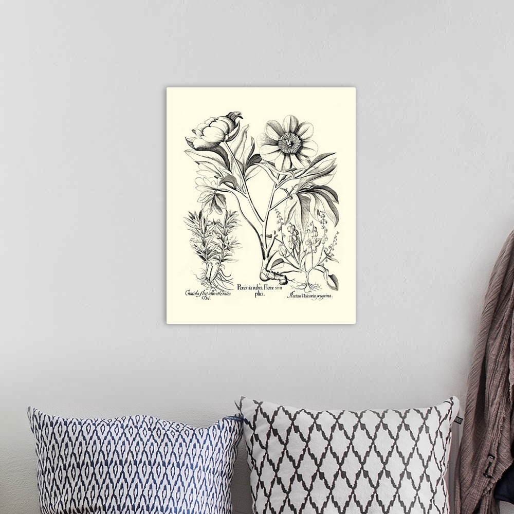 A bohemian room featuring Crackled B&W Besler Peony IV
