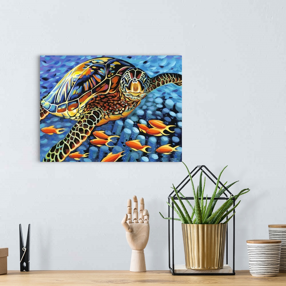 A bohemian room featuring Contemporary painting of a sea turtle floating in the ocean with tropical fish and coral.