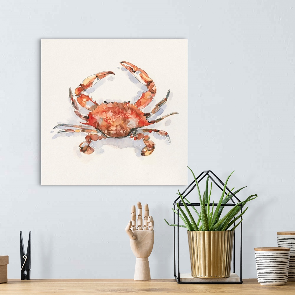 A bohemian room featuring Crusty Crab I