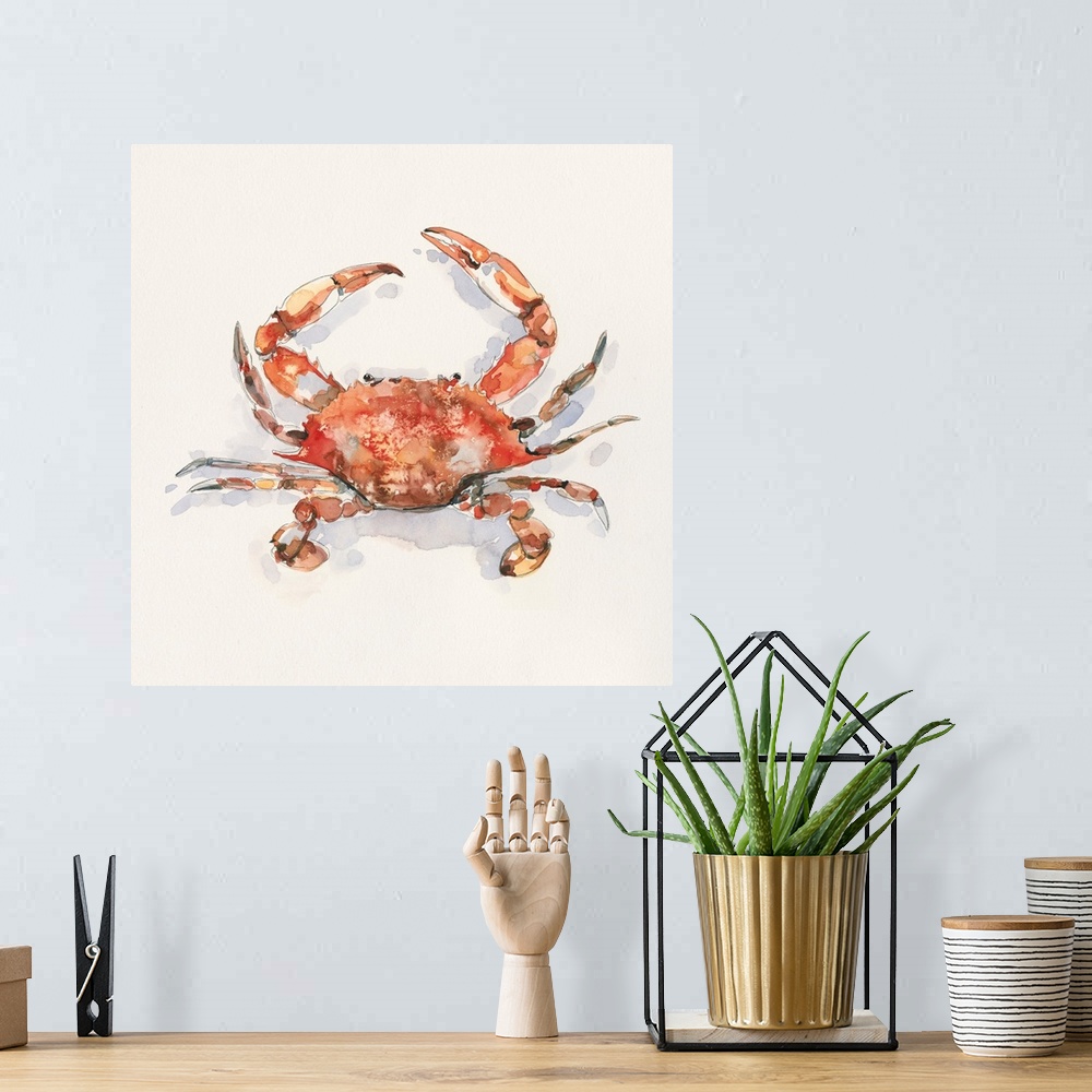 A bohemian room featuring Crusty Crab I