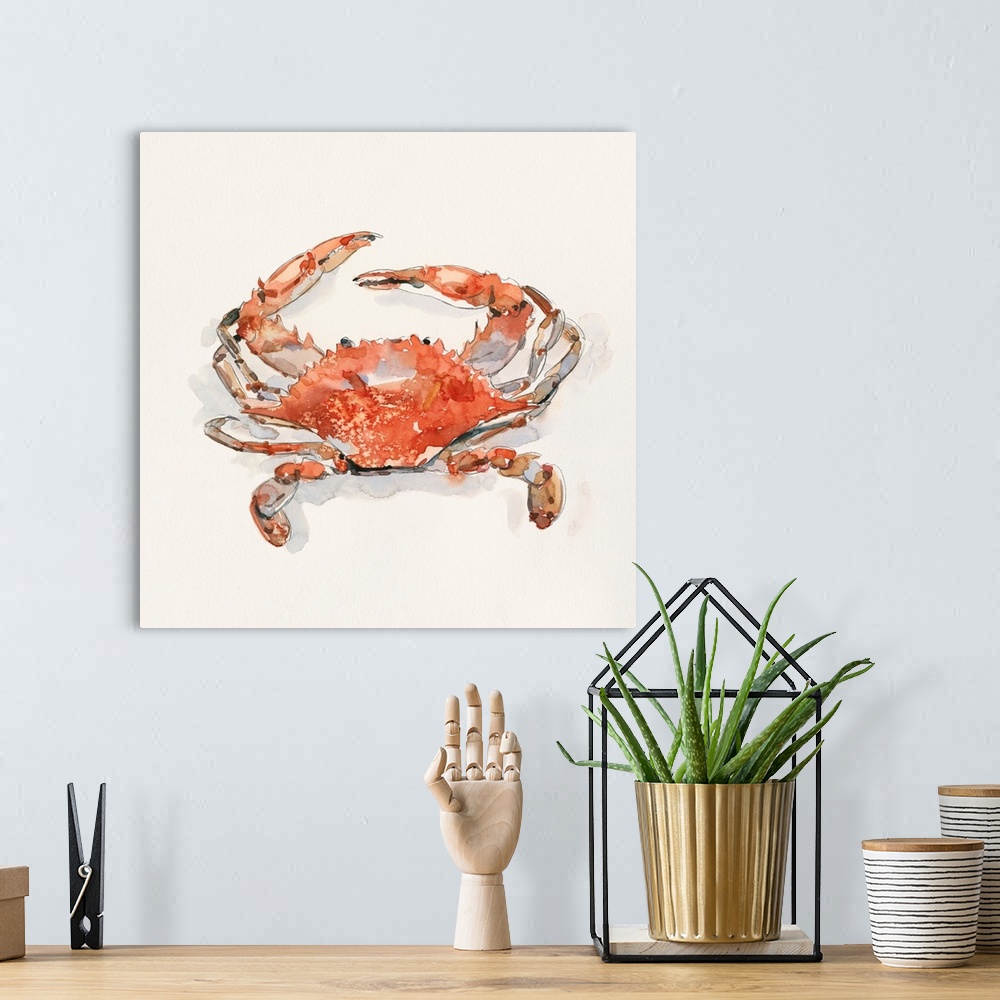 A bohemian room featuring Crusty Crab II