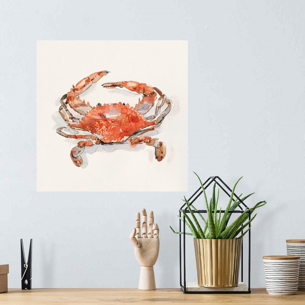 A bohemian room featuring Crusty Crab II