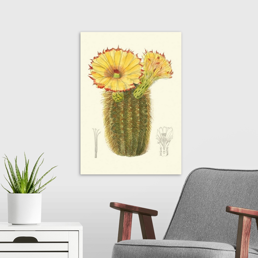A modern room featuring Curtis Flowering Cactus I
