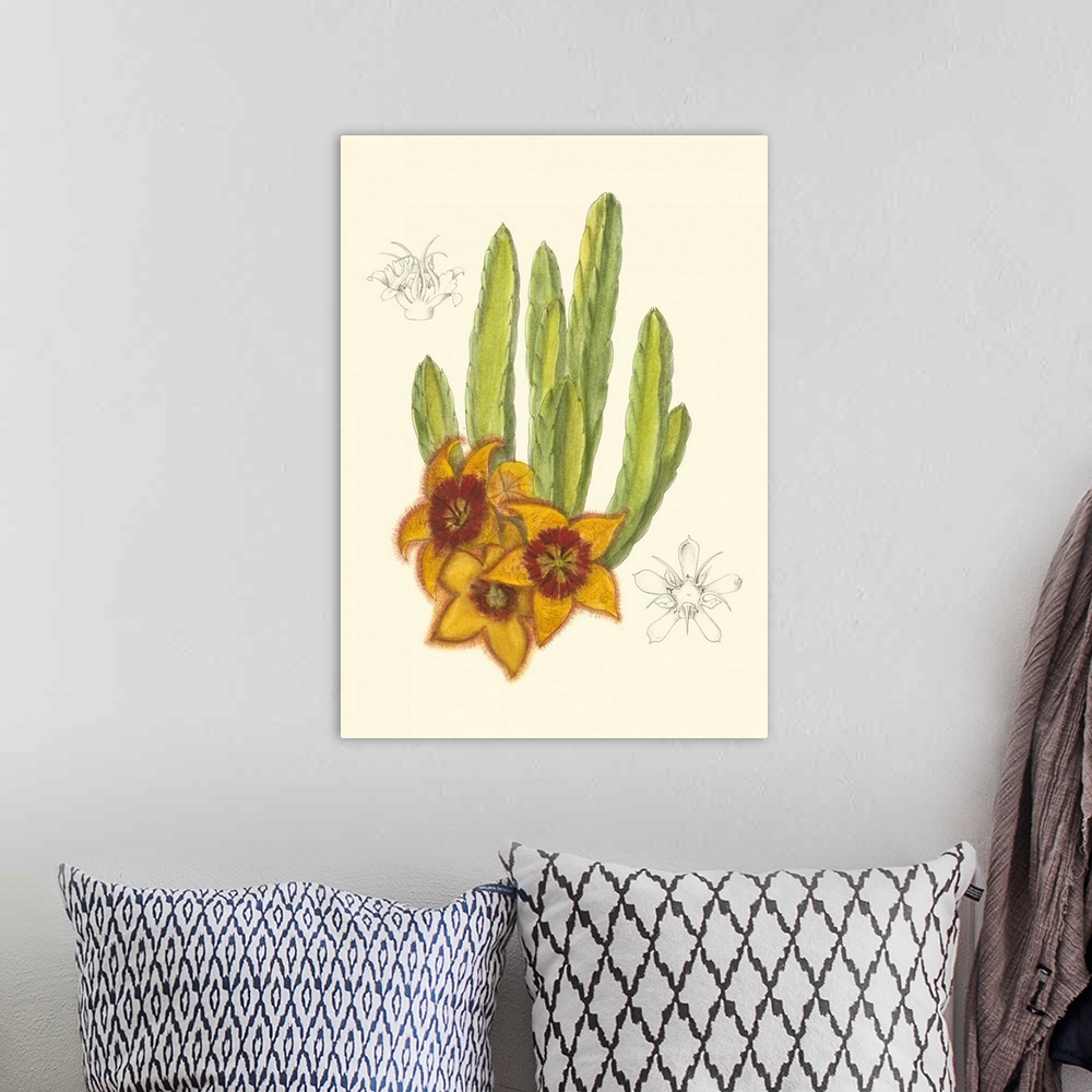 A bohemian room featuring Curtis Flowering Cactus III