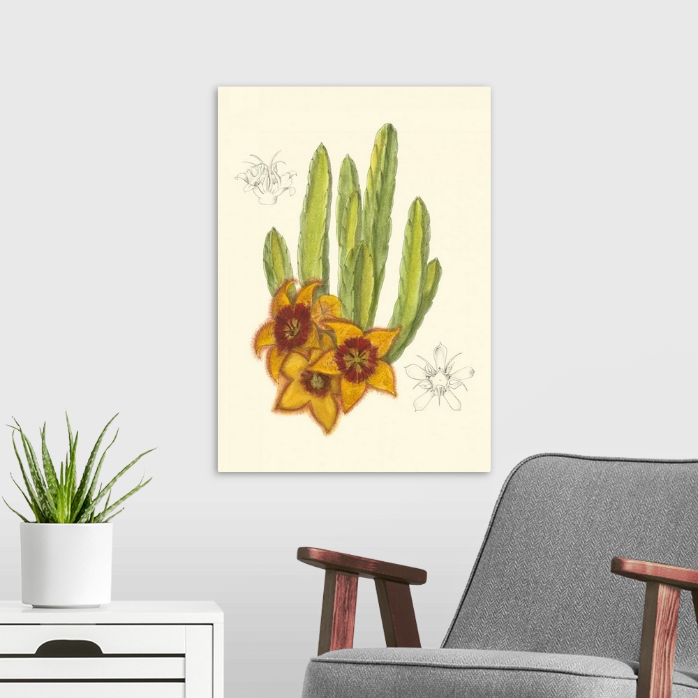 A modern room featuring Curtis Flowering Cactus III
