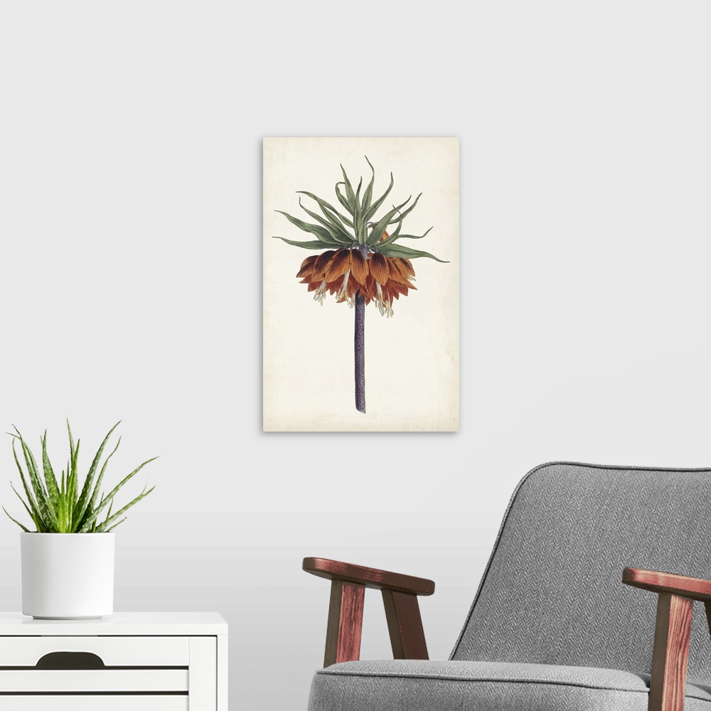 A modern room featuring Large decorative art with an orange and green crown imperial flower on an aged white background.