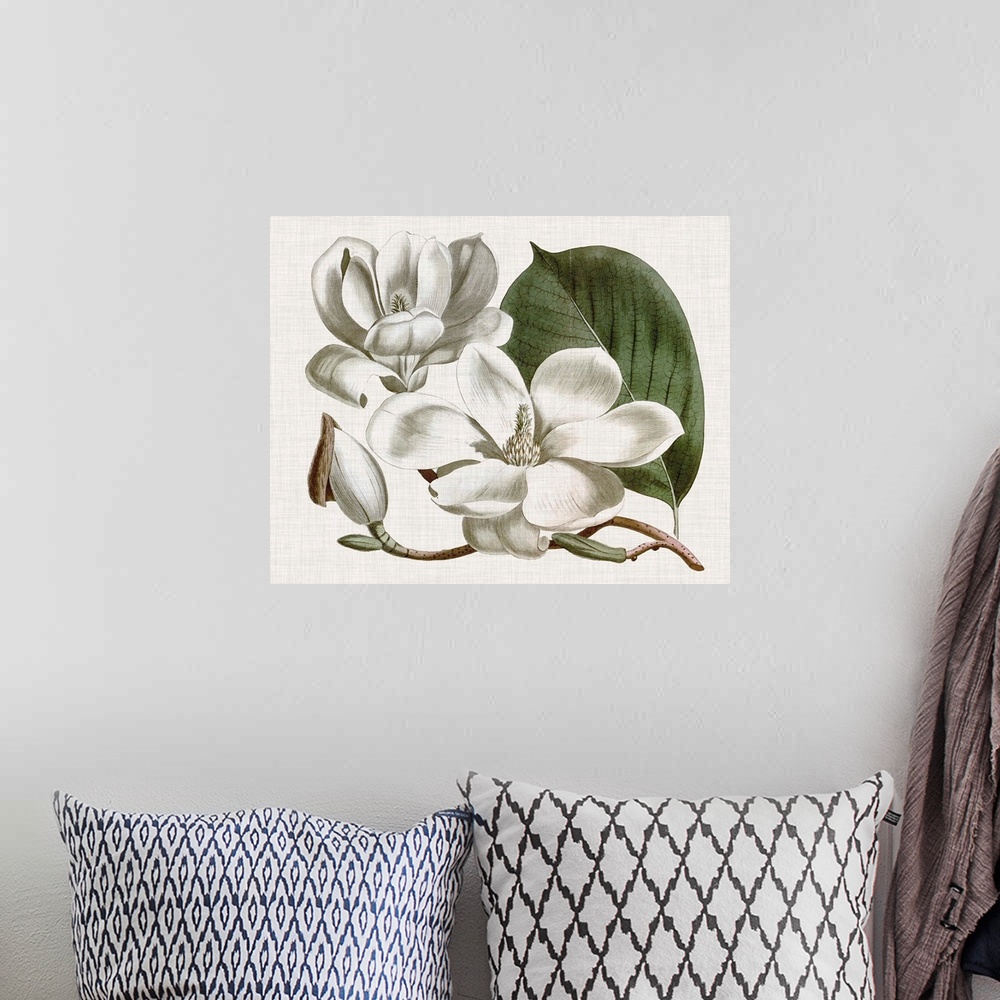 A bohemian room featuring Vintage-inspired botanical illustration of a magnolia flower.