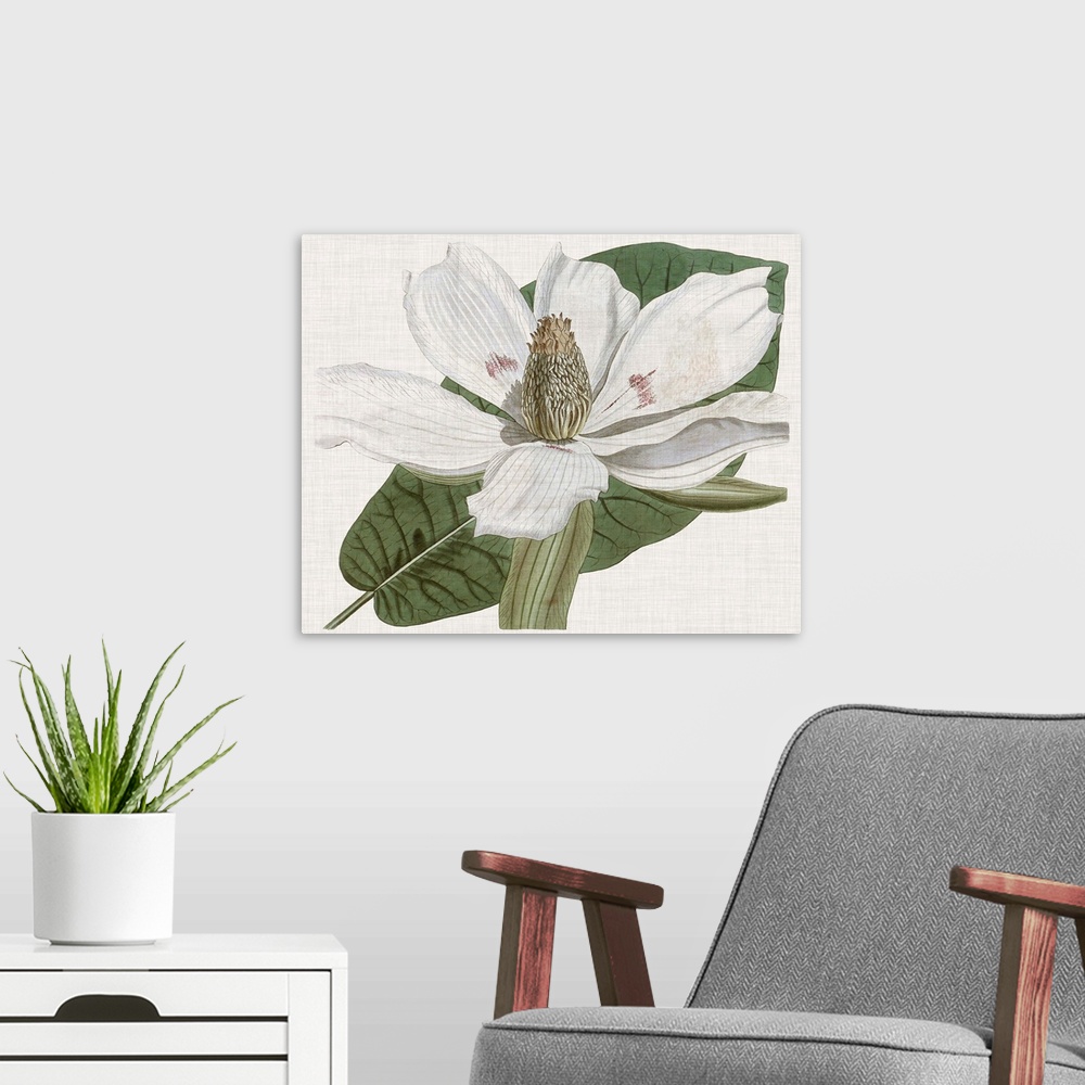 A modern room featuring Vintage-inspired botanical illustration of a magnolia flower.