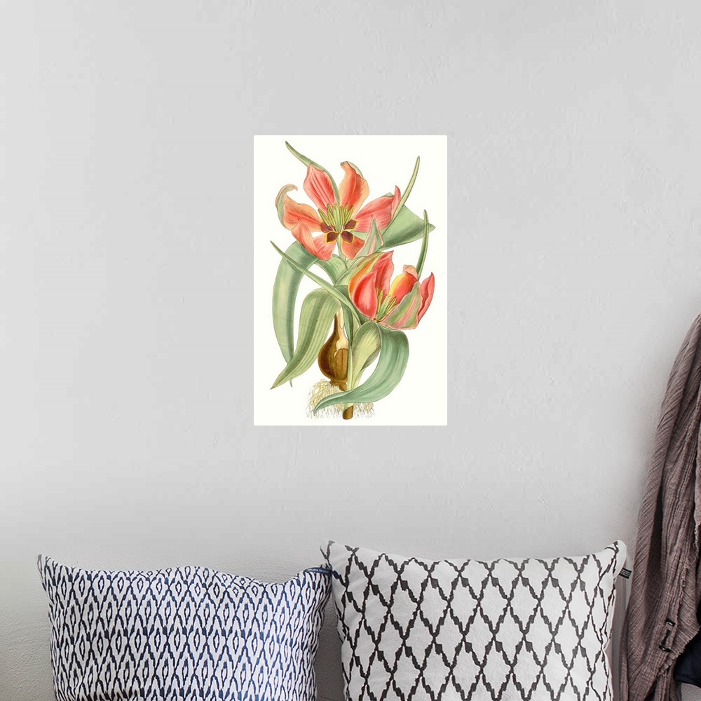 A bohemian room featuring Curtis Tulips I
