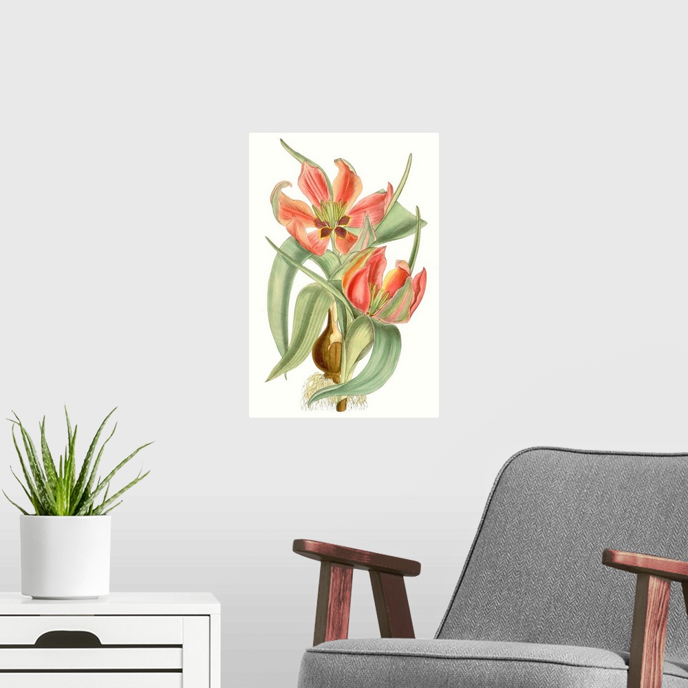 A modern room featuring Curtis Tulips I