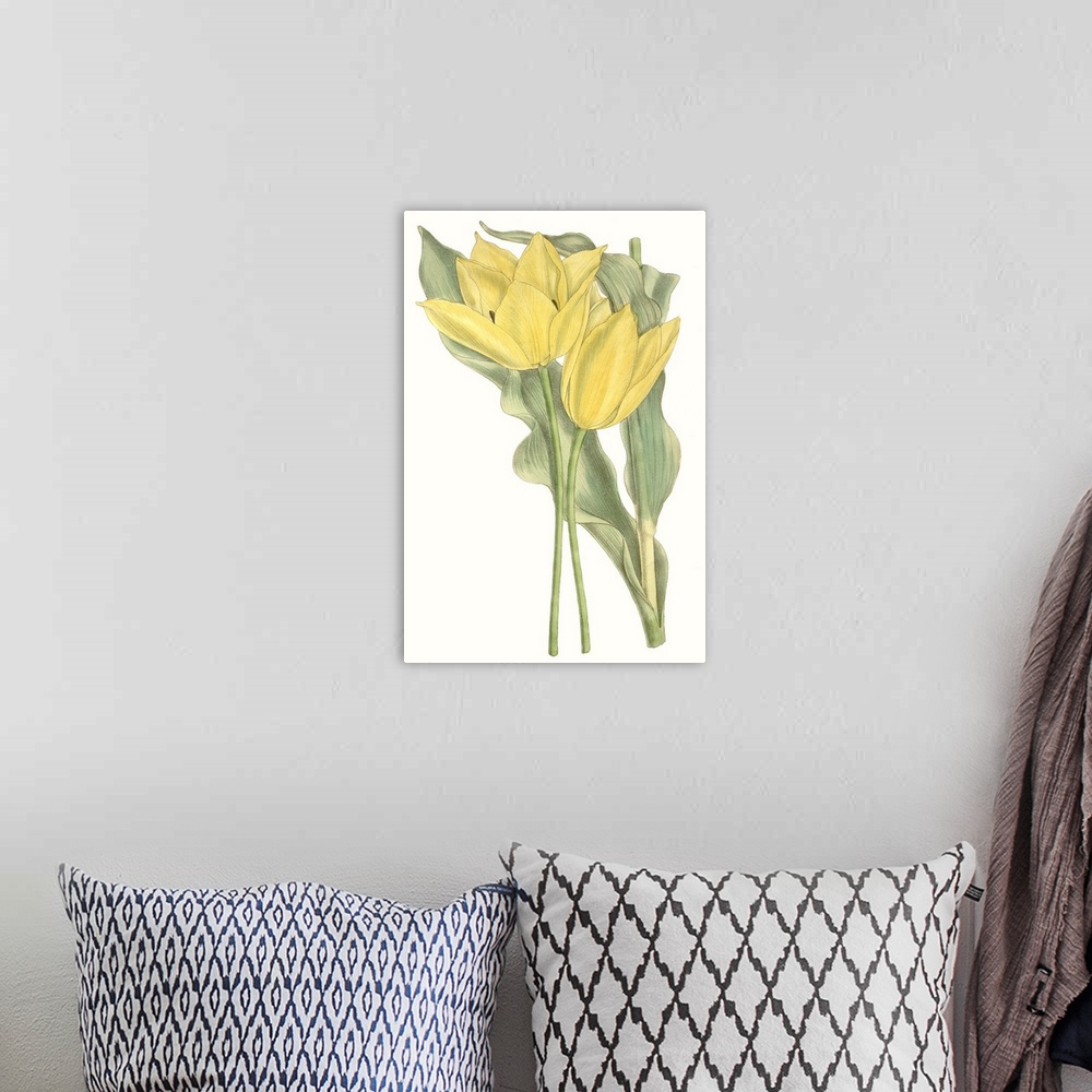 A bohemian room featuring Curtis Tulips II