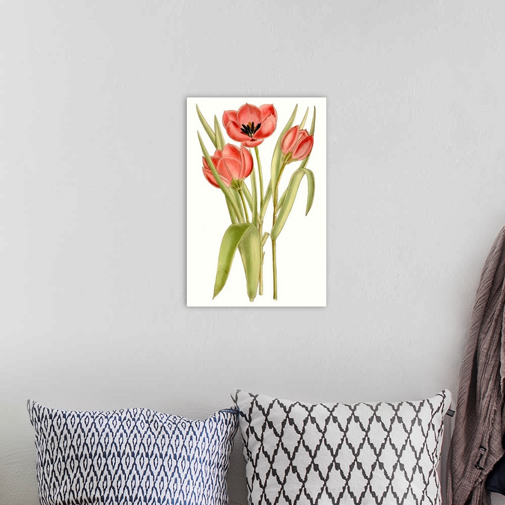 A bohemian room featuring Curtis Tulips VII