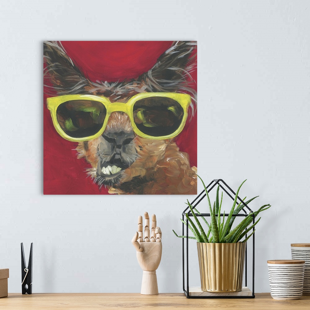 A bohemian room featuring A engaging portrait of a llama wearing yellow sunglasses on a red background.