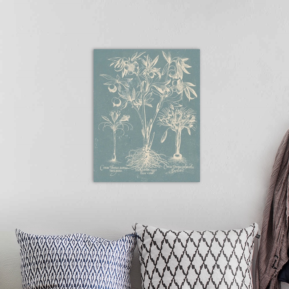 A bohemian room featuring Vintage-inspired botanical illustration of besler leaves on a light blue background.